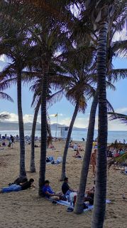 GC-Playa Las Canteras 2026-115.jpg